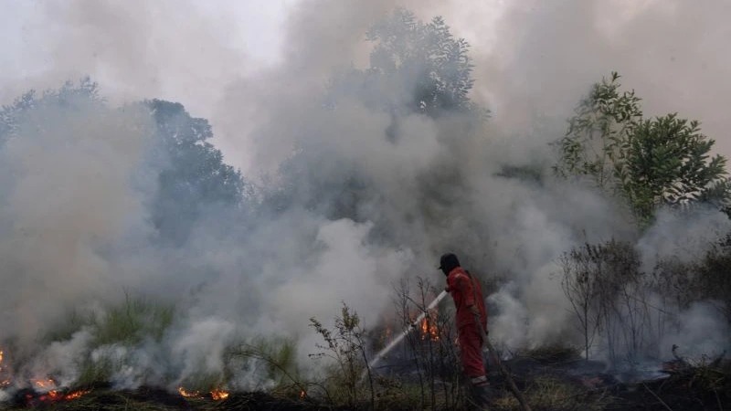 Bareskrim Tetapkan 9 Tersangka Karhutla Korporasi, 98 Kasus Diusut!
