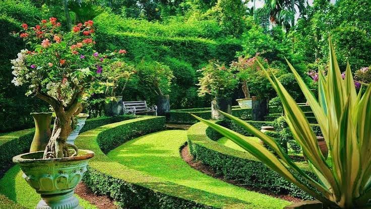 5 Wisata Gratis di Medan, Ini Tempat yang Bisa Dikunjungi Saat Akhir Pekan