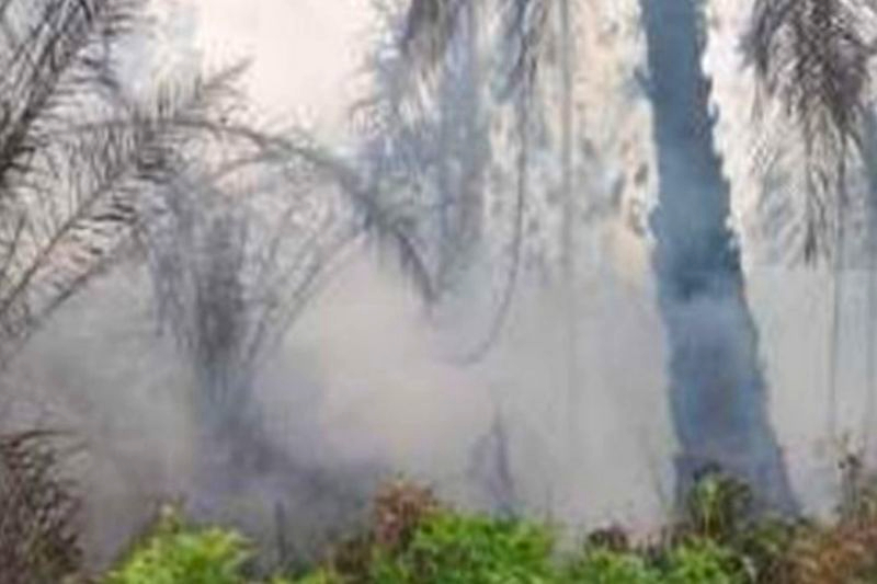 10 Hektare Lahan Terbakar di Asahan, Api Masih Berpotensi Meluas