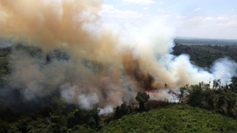 32 Perusahaan Disanksi soal Karhutla, 12.926 Hektare Lahan Terdampak