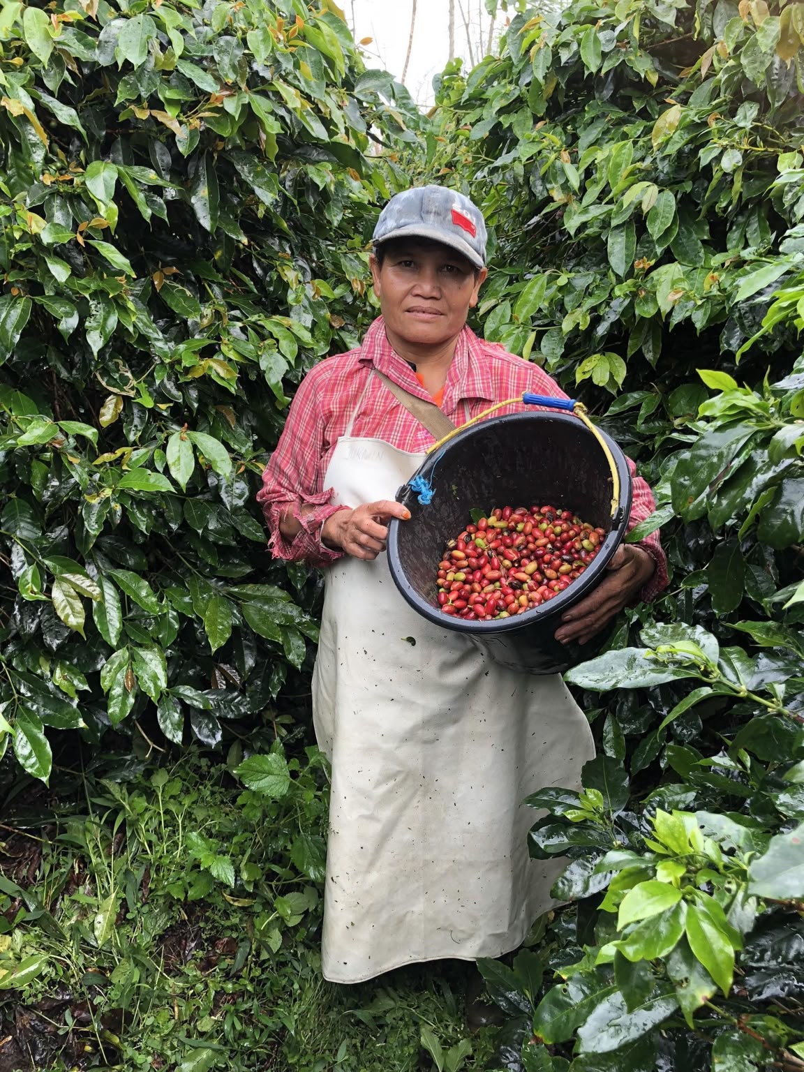 Punya Nilai Jual Tinggi, 5 Produk Lokal Sumut Ini Berpeluang Tembus Pasar Dunia
