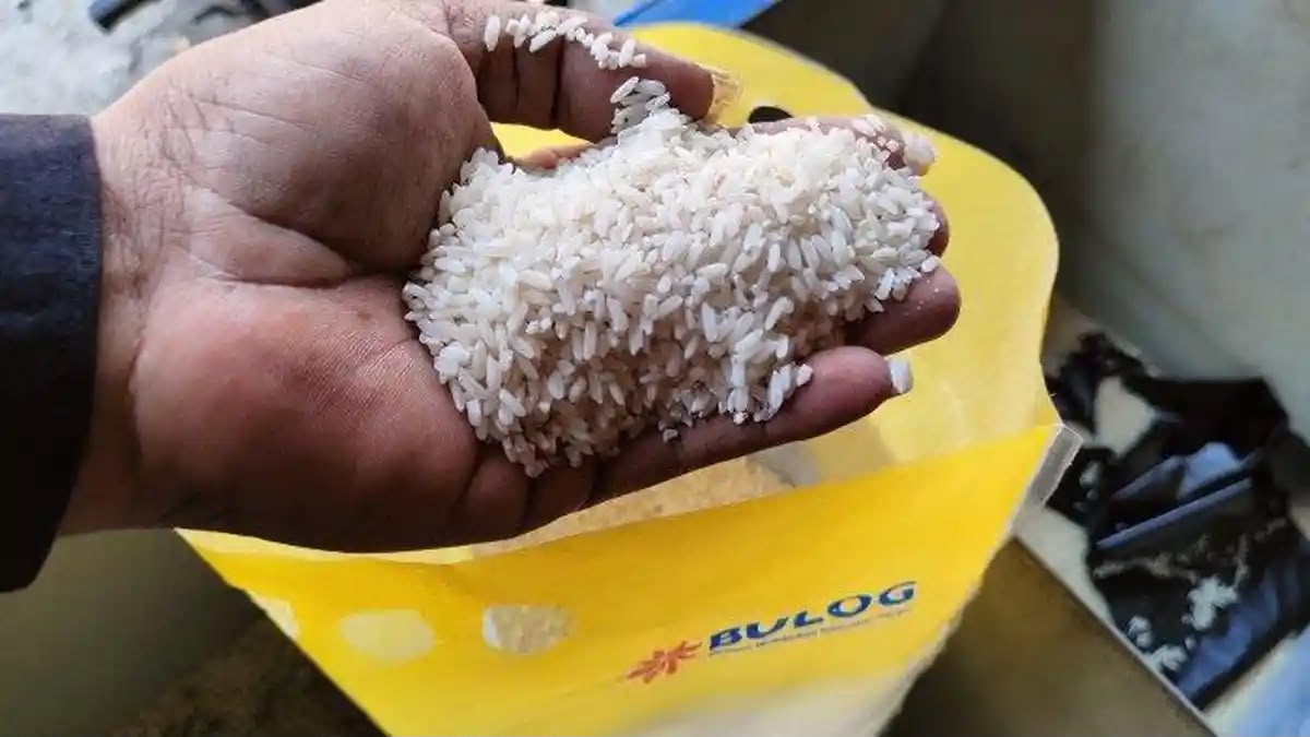 Beras SPHP Diduga Dioplos Jadi Beras Premium, Konsumen Rugi hingga Rp4.500 per Kilogram