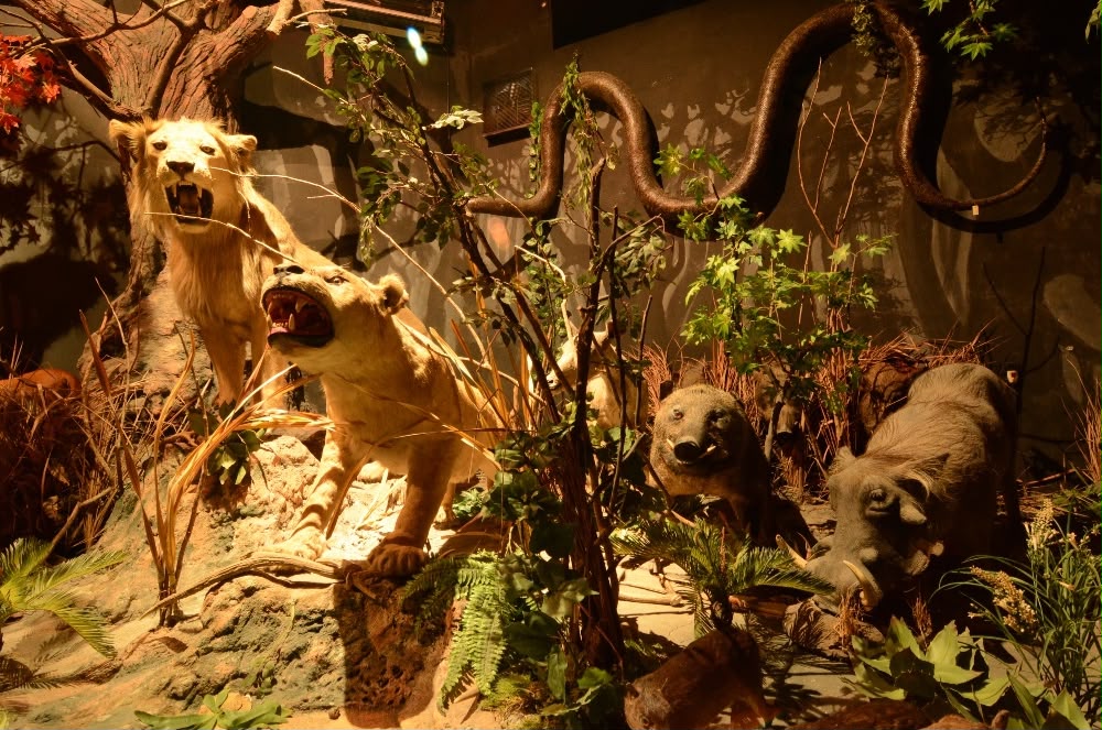 5 Museum di Medan yang Wajib Dikunjungi, Simpan Sejarah dan Cerita Unik Sumatera Utara