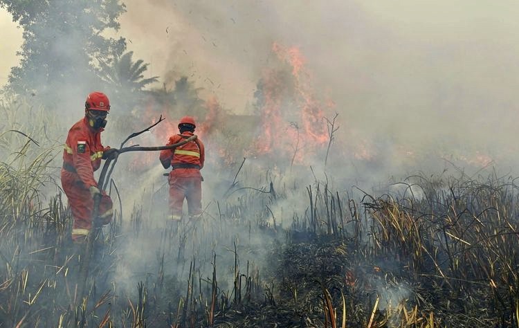Singapura Selidiki Sumber Kabut Asap, 4 Perusahaan Indonesia Diinvestigasi