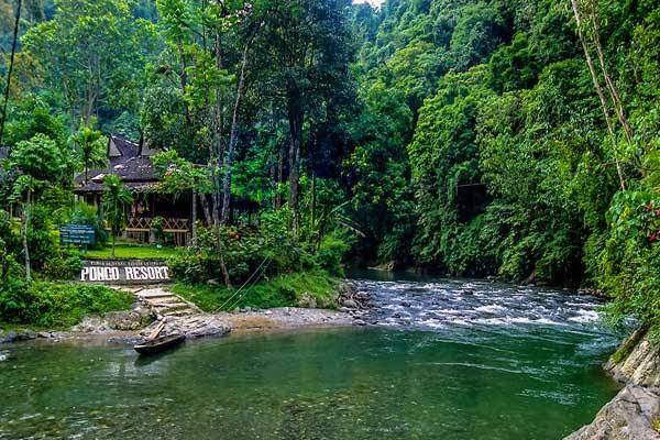 Tersembunyi di Langkat, Surga Alam Ini Punya Sungai Jernih, Gua Karst, dan Hutan Tropis